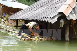 Ảnh minh họa. (Ảnh: Công Luật/TTXVN)