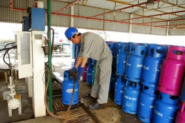 Ảnh minh họa. (Nguồn: Danh Lam/TTXVN)