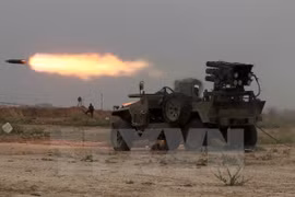 Syria: IS ngày càng lớn mạnh bất chấp chiến dịch không kích của Mỹ 