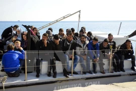 Số người tị nạn năm 2014 tăng mạnh do xung đột ở Syria và Iraq