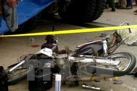 Hình chỉ mang tính minh họa. (Nguồn: TTXVN)