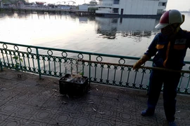 Các công nhân làm việc không ngơi tay từ sáng 2/10 nhưng lượng cá chết trên mặt hồ vẫn còn rất nhiều. (Ảnh: Việt Phương/Vietnam+)