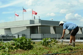 [Photo] Trang trại rau trên cao ốc giữa lòng thủ đô nước Mỹ