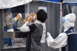 Nhân viên y tế lấy mẫu xét nghiệm COVID-19 cho người dân tại Seoul, Hàn Quốc ngày 26/8/2020. (Ảnh: AFP/TTXVN)