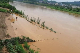 Lũ trên sông Hồng dâng cao gây ngập lụt nhiều diện tích hoa màu của người dân Lào Cai vào tháng 7/2020. (Ảnh: Hồng Ninh/TTXVN)