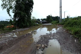 (Ảnh minh họa: Phan Tuấn Anh/TTXVN)