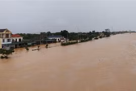 (Ảnh minh họa: Thanh Thủy/TTXVN)
