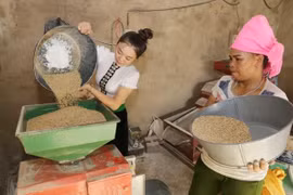 (Ảnh minh họa: Trần Việt/TTXVN)