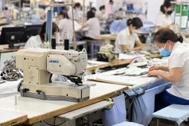 Các cấp công đoàn thương lượng về tiền lương, bữa ăn ca cao hơn mức tối thiểu. (Ảnh: PV/Vietnam+)