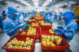 Chế biến nông sản xuất khẩu.( Ảnh minh họa: Trọng Đạt/TTXVN)