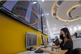 Dòng tiền khá ổn định và giúp cho VN-Index duy trì được sắc xanh. (Ảnh: Vietnam+)