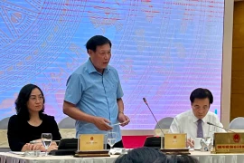 Thứ trưởng Đỗ Xuân Tuyên cho biết Bộ Y tế đã thực hiện nhiều giải pháp khắc phục tình trạng thiếu thuốc và vật tư y tế. (Hạnh Nguyễn/Vietnam+)