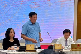 Thứ trưởng Đỗ Xuân Tuyên cho biết Bộ Y tế đã thực hiện nhiều giải pháp khắc phục tình trạng thiếu thuốc và vật tư y tế. (Hạnh Nguyễn/Vietnam+)