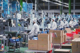 Cả nước đã có 431 khu công nghiệp, khu chế xuất được thành lập với tổng diện tích khoảng 132,3 nghìn ha, tạo ra quỹ đất công nghiệp khoảng 89,9 nghìn ha. (Ảnh: An Phát Holdings/Vietnam+)