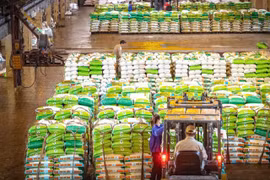 Việc đưa mặt hàng phân bón vào đối tượng không thuộc diện chịu thuế giá trị gia tăng đã ảnh hưởng rất lớn đến hoạt động sản xuất phân bón trong nước. (Ảnh: Vietnam+)