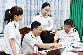 Việc thực hiện kết luận, kiến nghị kiểm toán là một trong những thước đo quan trọng đánh giá hiệu quả, hiệu lực của hoạt động Kiểm toán Nhà nước. (Ảnh: Vietnam+)