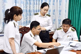 Việc thực hiện kết luận, kiến nghị kiểm toán là một trong những thước đo quan trọng đánh giá hiệu quả, hiệu lực của hoạt động Kiểm toán Nhà nước. (Ảnh: Vietnam+)
