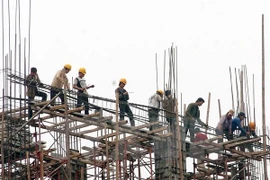 (Ảnh minh họa: TTXVN)