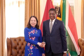 Phó Chủ tịch nước Võ Thị Ánh Xuân với Phó Tổng thống Nam Phi Paul Mashatile. (Ảnh: Lâm Khánh/TTXVN)