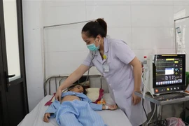 Ảnh minh họa. (Ảnh: Hoàng Ngà/TTXVN)