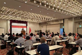 Toàn cảnh hội thảo. (Ảnh: Nguyễn Tuyến/TTXVN)