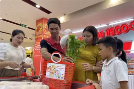 Hưởng ứng Tuần lễ không túi nylon, khách hàng thành phố Huế sử dụng làn đi chợ thay cho túi nylon khi đi mua sắm. (Ảnh: Mai Trang/TTXVN)