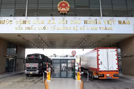 Xe chở quả vải tươi chờ làm thủ tục tại Cửa khẩu Quốc tế Đường bộ số 2 Kim Thành xuất khẩu sang Trung Quốc. (Ảnh: Quốc Khánh/TTXVN)