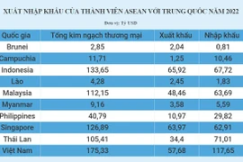 Sức tăng trưởng mạnh mẽ của quan hệ thương mại ASEAN-Trung Quốc