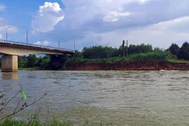 Bờ sông Đạ Hoai đã bị sạt lở uy hiếp chân cầu Đạ Quay. (Ảnh TTXVN phát)