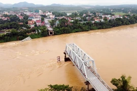Sự cố sập cầu Phong Châu xảy ra ngày 9/9, do lũ trên sông Thao (sông Hồng) lên rất cao, chảy xiết, cuốn trôi trụ T7 và hai nhịp dàn chính (nhịp 6 và nhịp 7 phía bờ hữu sông Thao, thuộc địa bàn huyện Tam Nông). (Ảnh: Tạ Toàn/TTXVN)