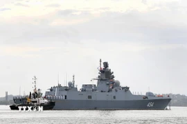 Ảnh minh họa. (Nguồn: TTXVN)