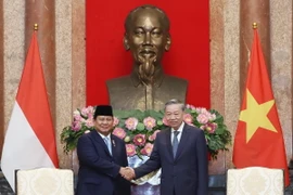 Tổng Bí thư, Chủ tịch nước Tô Lâm tiếp Tổng thống đắc cử Cộng hòa Indonesia Prabowo Subianto. (Ảnh: Lâm Khánh/TTXVN)