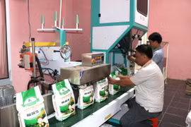Hợp tác xã nông nghiệp Ngọc Biên đầu tư dây chuyển đóng gói sản phẩm “Gạo quê tôi” của hợp tác xã để tạo bao bì bắt mắt, nâng cao giá trị hạt gạo. (Ảnh: Thanh Hòa/TTXVN)