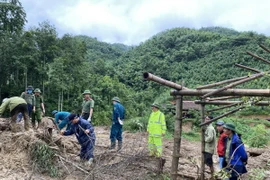 Lực lượng tìm kiếm cứu hộ, cứu nạn tổ chức tìm kiếm các nạn nhân bị lũ quét vùi lấp tại huyện Bảo Yên, Lào Cai. (Ảnh: TTXVN phát)