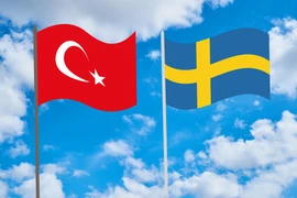 Ảnh minh họa. (Nguồn: Vietnam+)