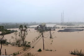 Phần bãi giáp đê khu vực cầu Hàn, thành phố Hải Dương bị ngập khi nước sông Thái Bình lên cao lúc 10 giờ sáng 11/9/2024. (Ảnh: Mạnh Minh/TTXVN)