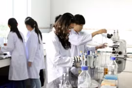 Gần hơn 400 giảng viên, sinh viên đoạt giải Tài năng khoa học trẻ 