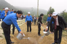 Trồng hàng trăm nghìn cây xanh hưởng ứng Tết trồng cây xuân 2015 