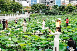 Không khí Hà Nội ở mức Tốt. (Nguồn: TTXVN)