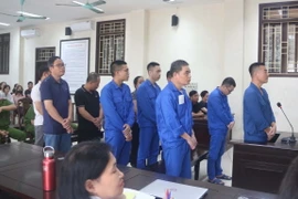 Các bị cáo tại phiên tòa. (Ảnh: Thu Hoài/TTXVN)