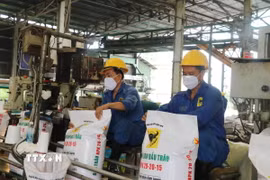 Công nhân đóng gói phân bón xuất khẩu. (Nguồn: TTXVN)