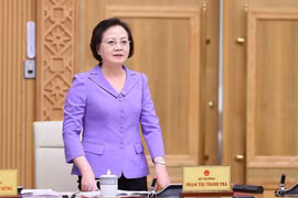 Bộ trưởng Bộ Nội vụ Phạm Thị Thanh Trà. (Ảnh: Dương Giang/TTXVN)