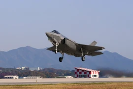 Máy bay chiến đấu F-35A do Tập đoàn Lockheed Martin của Mỹ chế tạo. (Ảnh: AFP/TTXVN) 