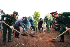 Thủ tướng Phạm Minh Chính trồng cây tại Lễ phát động “Tết trồng cây Đời đời nhớ ơn Bác Hồ.” (Ảnh: Dương Giang/TTXVN)