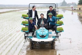 Thủ tướng xuống đồng động viên nông dân Hải Dương sản xuất vụ Đông Xuân