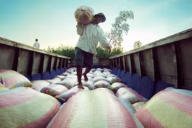 (Ảnh minh họa: Duy Khương/TTXVN)