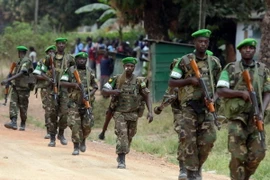 Liên minh châu Phi cam kết thúc đẩy hòa bình và phát triển