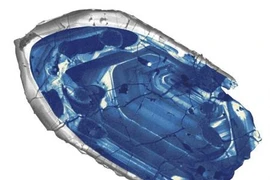 Mẫu vật được cho là cổ nhất Trái Đất. (Nguồn: Reuters)