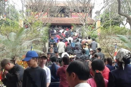 Tưng bừng lễ hội Khán hoa mẫu đơn chùa Phật Tích