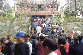 Tưng bừng lễ hội Khán hoa mẫu đơn chùa Phật Tích
